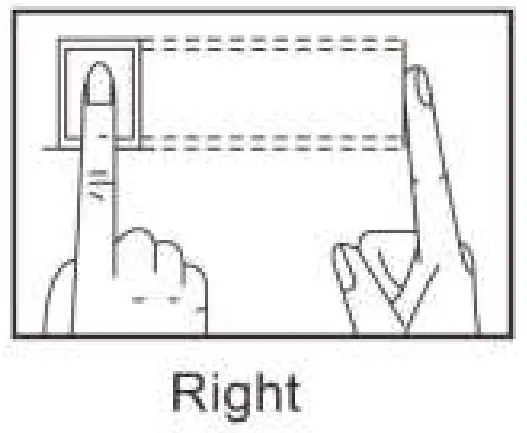 Appendix — Attention to Fingers' Reading