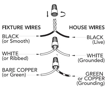 Hunter-19725 -3-Light-Cluster-fig-1
