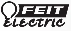 FEIT logo