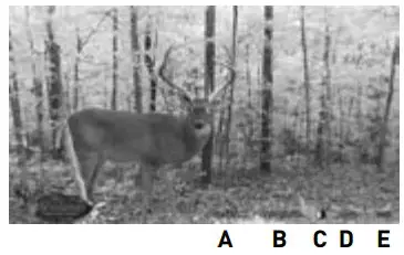 Wildgame INNOVATIONS SW26B37W18-21 Shadow Lightsout 26MP Camera User Manual - Image Stamp