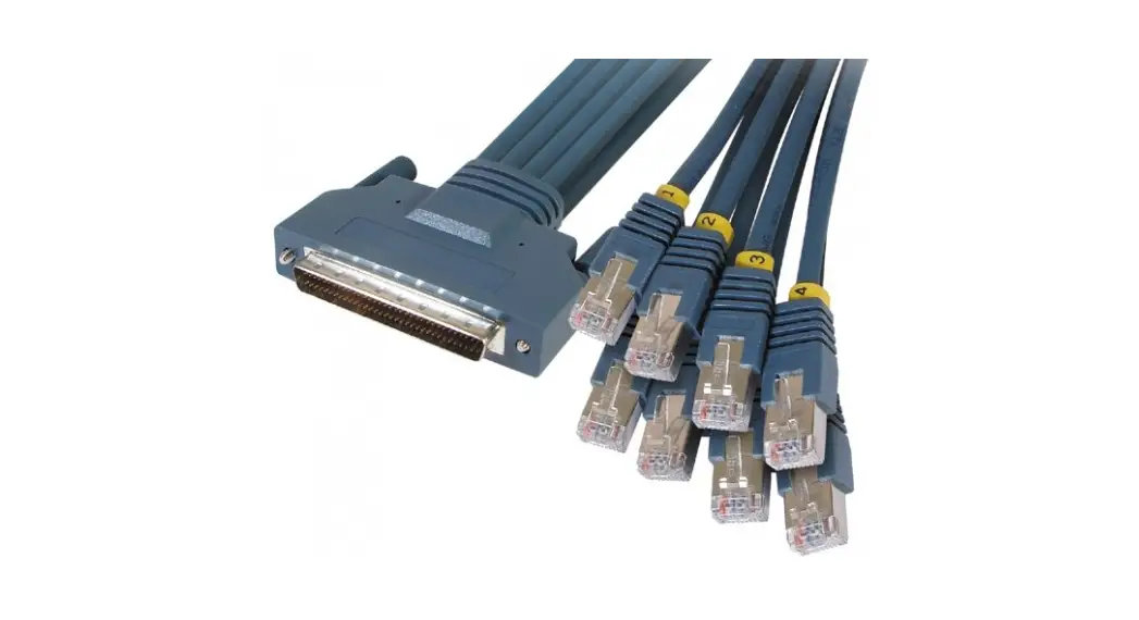 Cisco Configuring Console Access Instructions