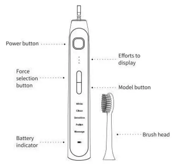 OPERAN OR989 Electric Toothbrush 1