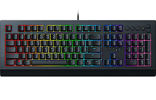 Razer Cynosa V2 Support