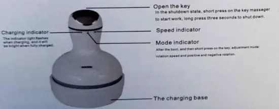 trister TS596 Scalp and Body Massager - part name