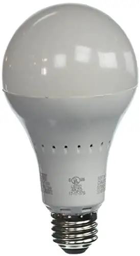 FEIT Electric A450 LED Smart Camera Bulb with Adjustable Head