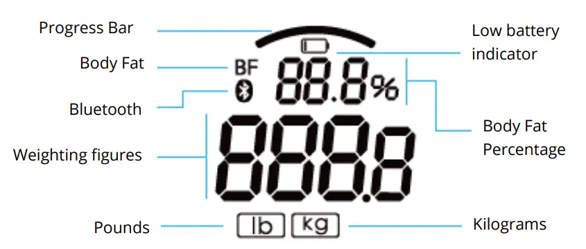 YUNMAI-4332442427-Premium-Smart-Scale-FIG5