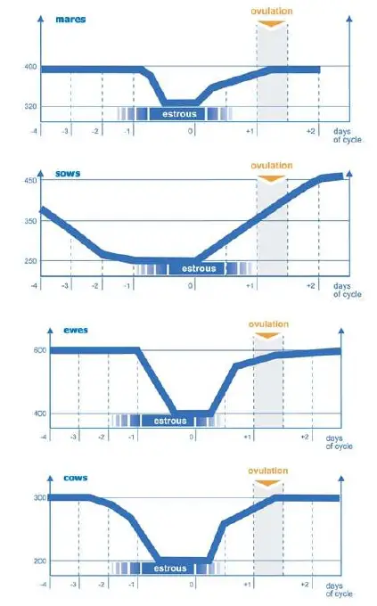 DRAMINSKI 5906874410141 DC 2 Estrous Detector fig (5)