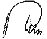 Gude GV 1700 E Powerful Electric Scarifier - icon 15