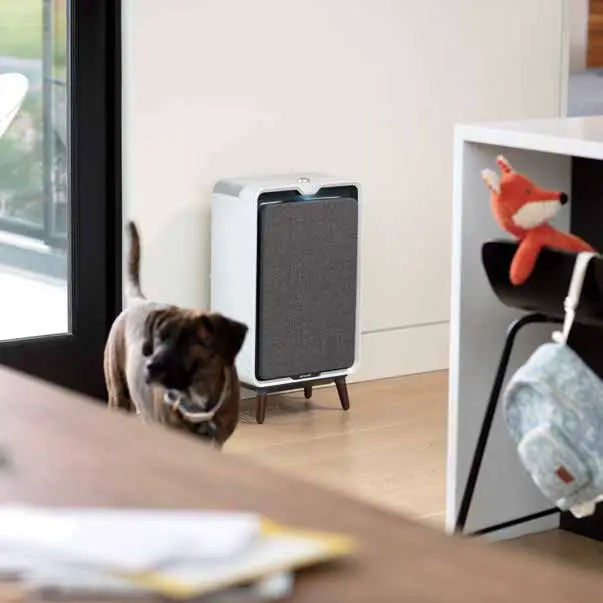 BISSELL 3002F Air Purifier - Figure 1