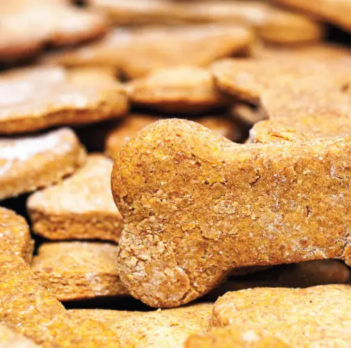 Carrot and Apple Treats