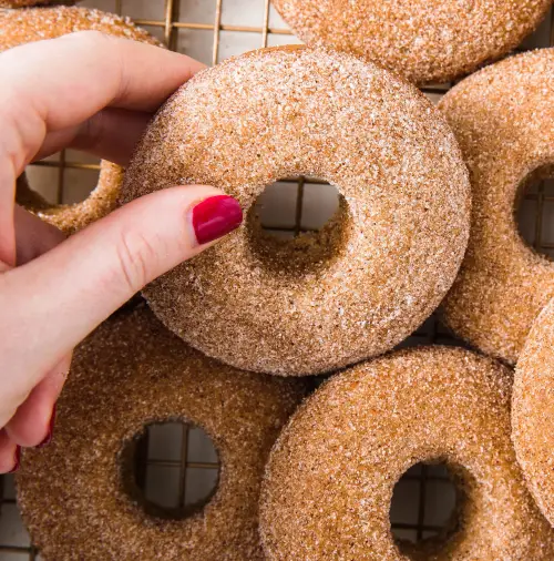 Cinnamon Sugar Vegan Donuts