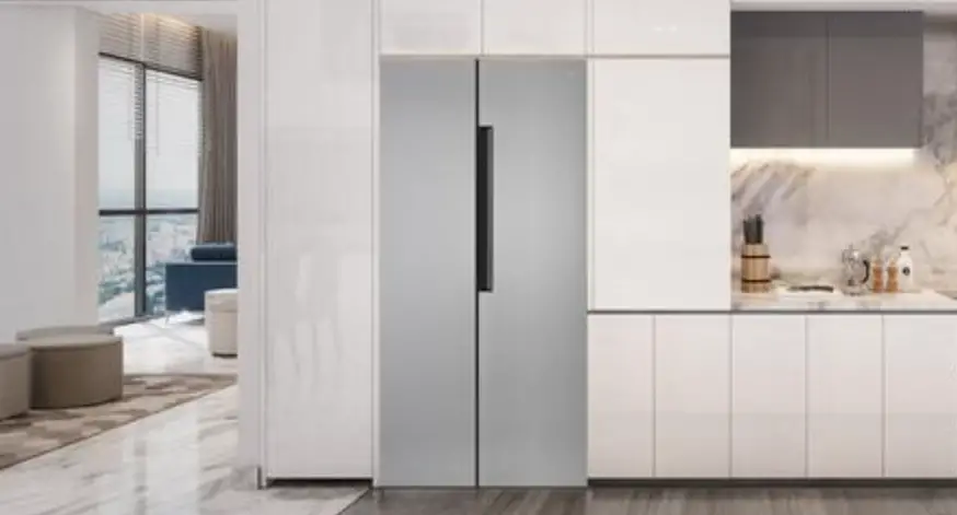 Forte F16sbs250ss 33 Inch 250 Series Side By Side Refrigerator User Manual Forte F16sbs250ss 33 Inch 250 Series Side By Side Refrigerator User Manual