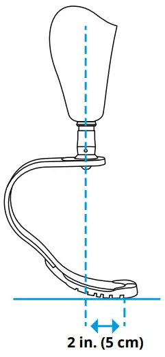 Static and Bench Alignment