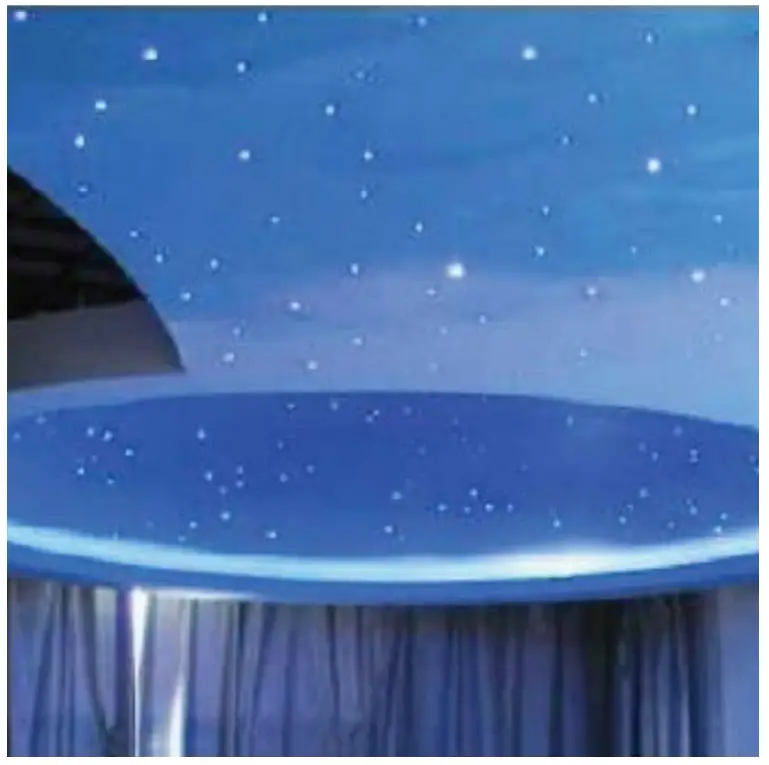 Fiber Optic Star Ceiling Light