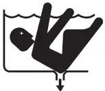 Jandy VSFHP185DV2A Variable-Speed Pool Pumps - sambol 2