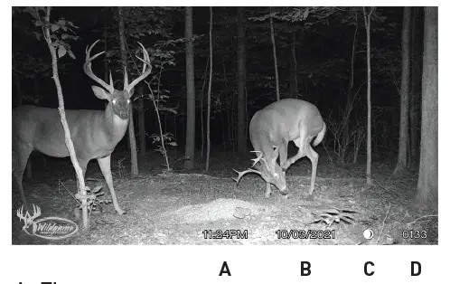 GSM 20220211 KICK2 Kicker Universal 12