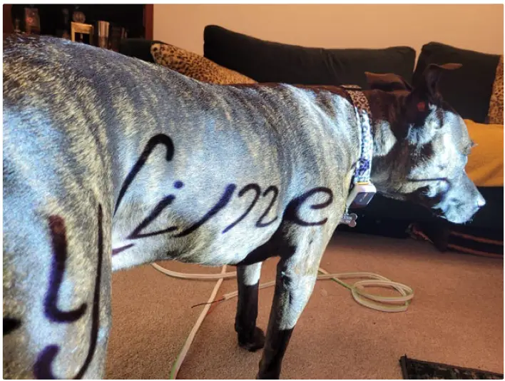 instructables-Dynamic-Neon-Arduino-Driven-Sign-FIG-3