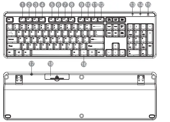 amazon-basics-B0787CVBWP-Wireless-Keyboard-and-Mouse-Combo-FIG-2