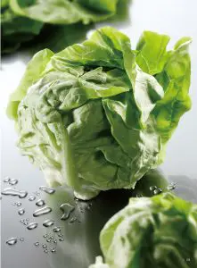 FIG 11 hisense home appliances catelogue 2019-2020