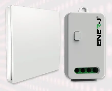 ENER-J Wireless Switch Receiver Controller K10R