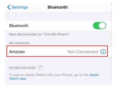 BLUETOOTH SETUP