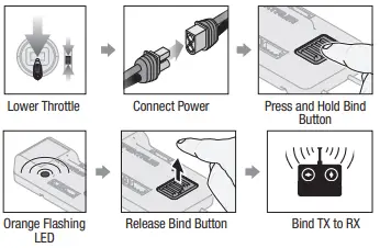 Using The Bind Button