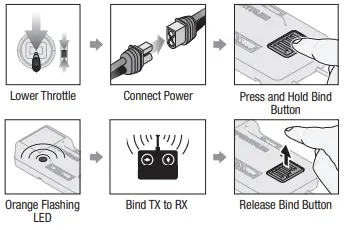 Using The Bind Button