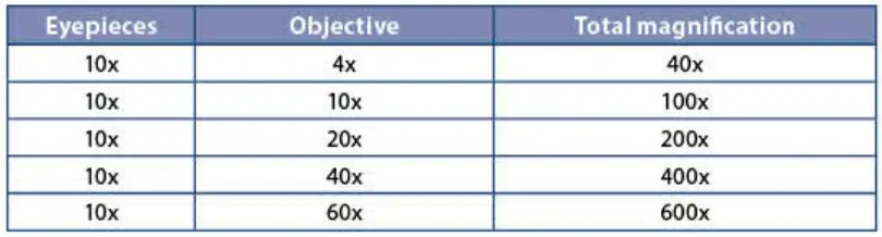 euromex -OX.2253-PLF- Oxion- Inverso -LifeScience- Phase- Contrast -Microscope -14