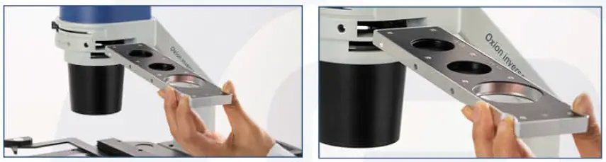 euromex -OX.2253-PLF- Oxion- Inverso -LifeScience- Phase- Contrast -Microscope -3