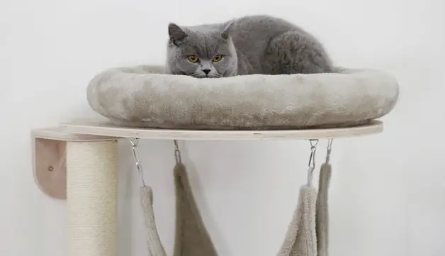 KERBL-81503-Pet-Dolomit-Wall-Mounted-Board-PRODUCT