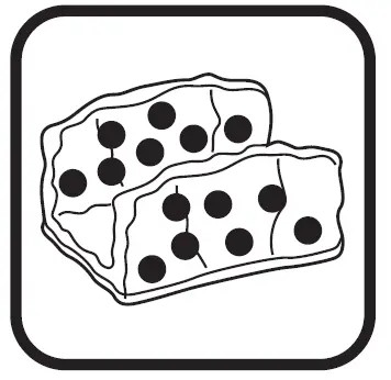 maytronics-Dolphin-2x2-Gyro-Robotic-Pool-Cleaner-15