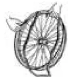 VERMEIREN Jazz S50 635 mm Manual Steel Wheelchair, Seat 19