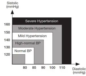 GIMA M32745 Aneroid Sphygmomanometer-blood pressure