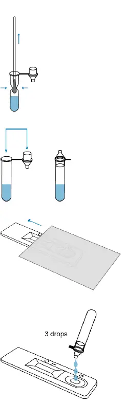 COVID -Rapid -SARS-CoV-2- Antigen -Test Card -FIG 4