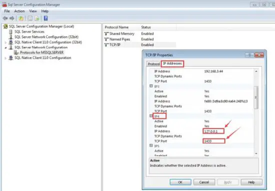 ZKTeco WDMS Web-Based Data Management System-FIG13