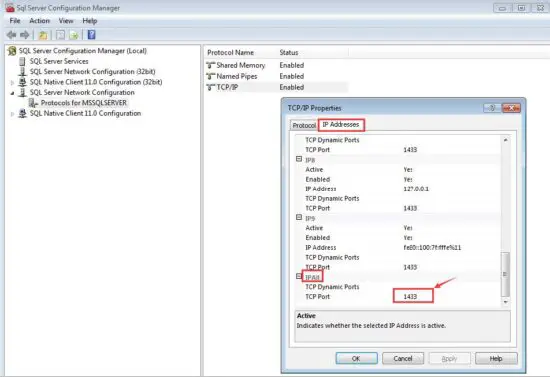 ZKTeco WDMS Web-Based Data Management System-FIG14