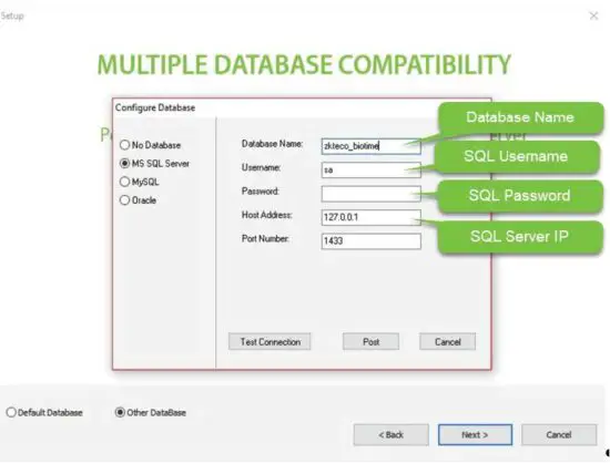 ZKTeco WDMS Web-Based Data Management System-FIG8