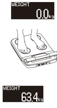 TANITA-MC-580-Bio-Impedancemetry-Body-Composition-Analyzer-fig-7