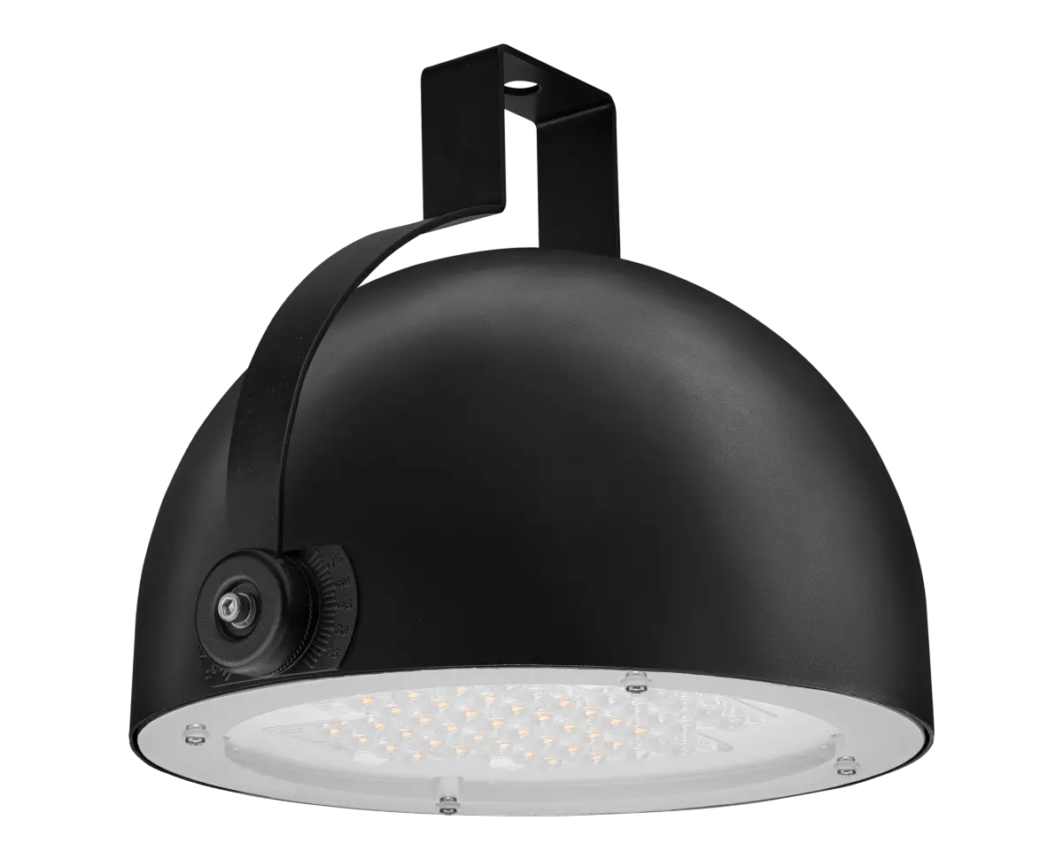 VIZULO-BBL-020-727-L20-AA008-CJ-RG1-8211065-Blackbird-Scepter-LED-Street-Luminaire-PRODUCT