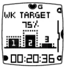 POLAR FT60 Heart Rate Monitor 11