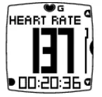 POLAR FT60 Heart Rate Monitor 8