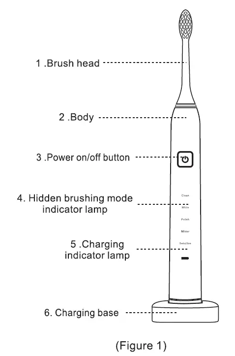 7am2m Sonic Electric Toothbrush (1)