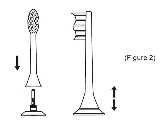 7am2m Sonic Electric Toothbrush (2)