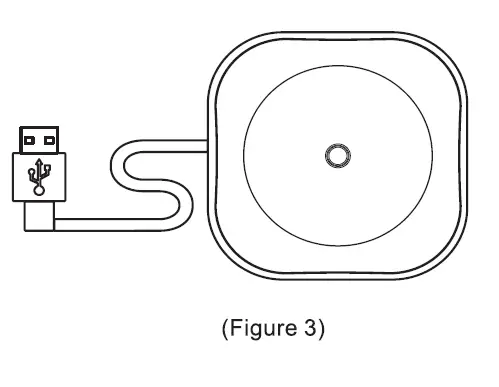 7am2m Sonic Electric Toothbrush (3)