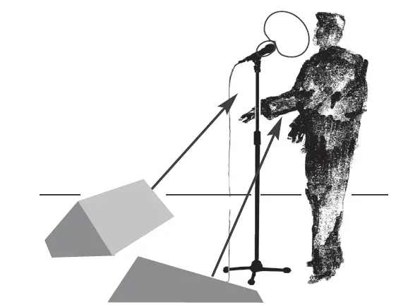 AKG D5 Vocal Dynamic Microphone (2)