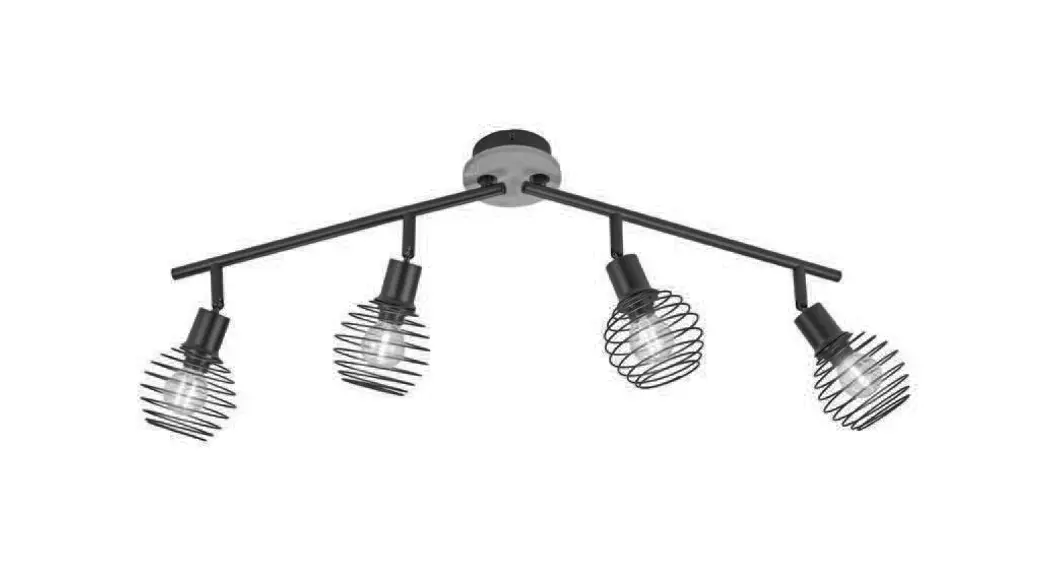 Paul Neuhaus 15923-79 Eugen Ceiling Lamp Instructions Paul Neuhaus 15923-79 Eugen Ceiling Lamp Instructions