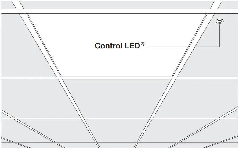 Testing Instructions