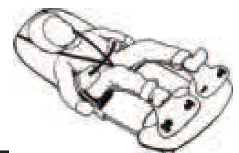 MINIMES-MiniMeis-G4-Baby-Shoulder-Carrier-07