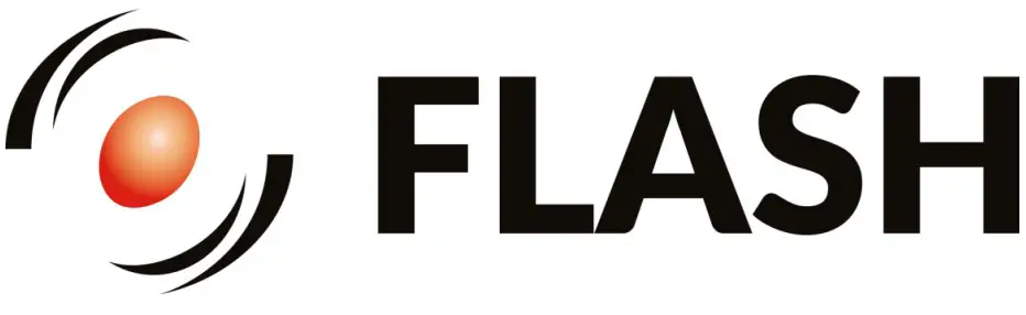 FLASH LOGO