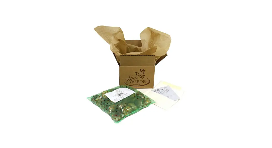 Van Zyverden 84514 Gladiolus Large Flowering Nori Instructions Van Zyverden 84514 Gladiolus Large Flowering Nori Instructions